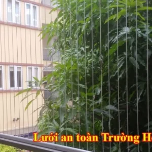 hình-luoi-an-toan-truong-hoc