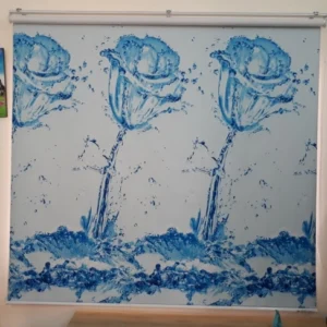 hình-rem-cuon-in-tranh