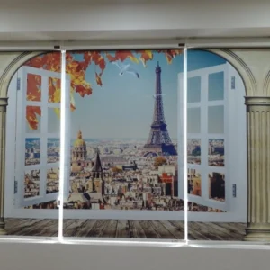 hình-rem-cuon-in-tranh