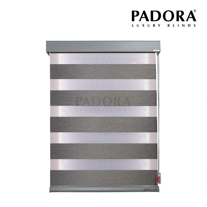 hinh-rem-cau-vong-forest-ft003 (2)