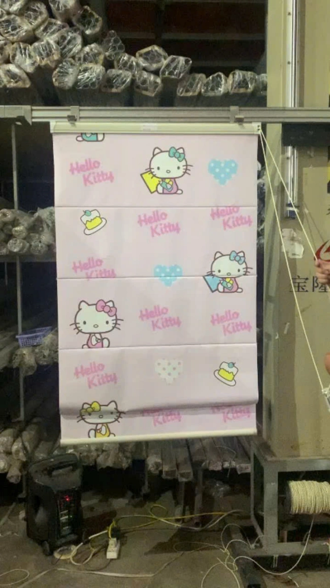 Bộ sưu tập rèm roman cao cấp - Ảnh 10