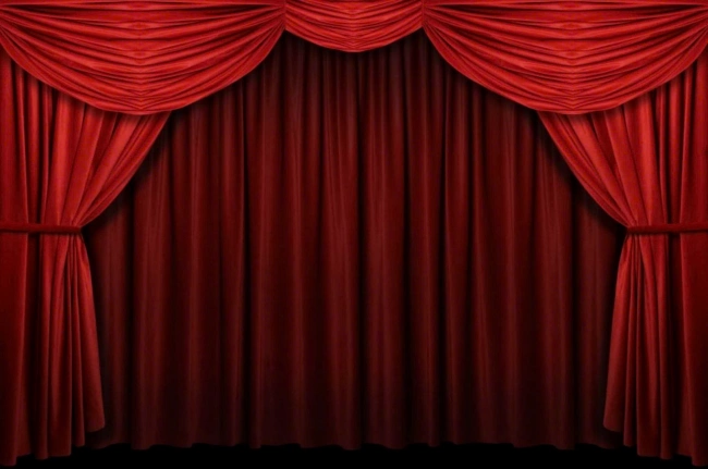 Phông nhung hội trường - Ảnh 8